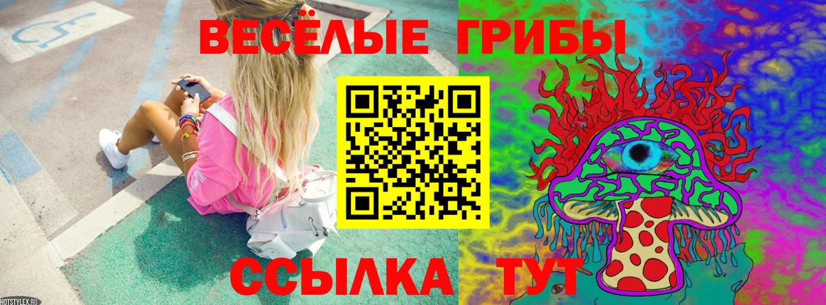 Псилоцибиновые грибы MAGIC MUSHROOMS Ейск