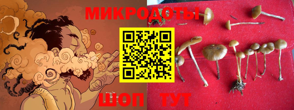 где купить наркоту  Псилоцибиновые грибы MAGIC MUSHROOMS  Вход с VPN  Ейск 